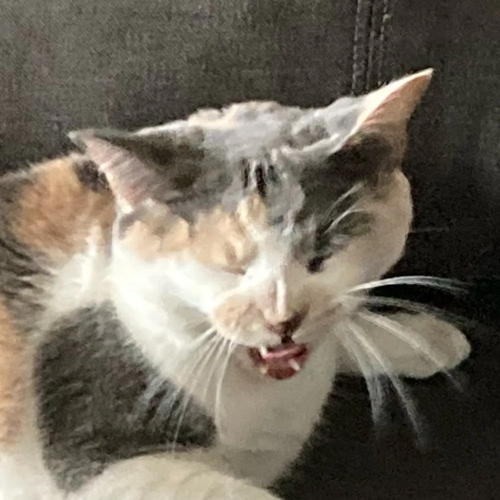 ufocatcherfan.bsky.social's profile picture