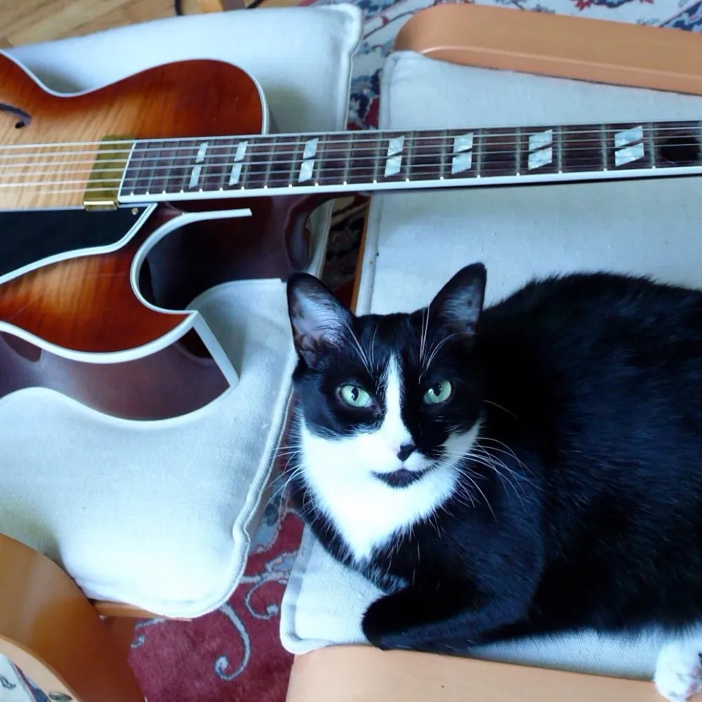 badluckbob.bsky.social's profile picture