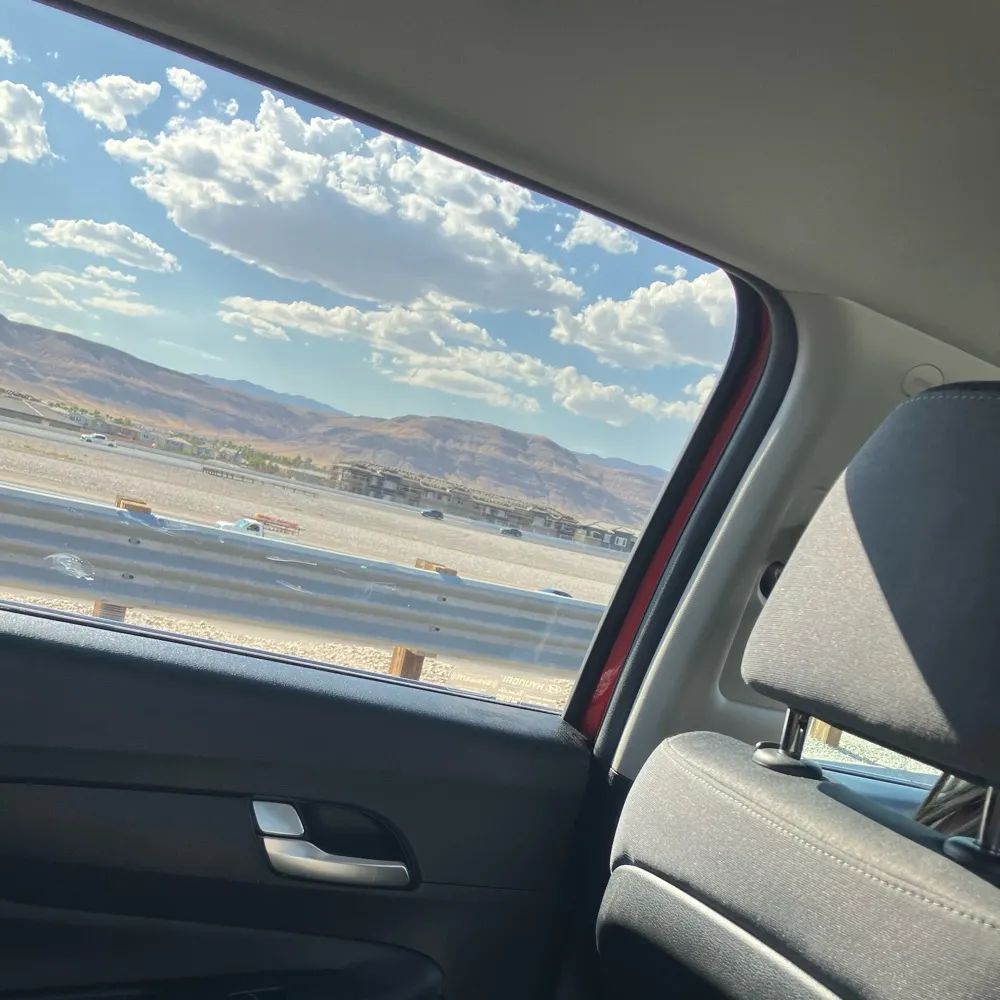 flygenesis.bsky.social's profile picture