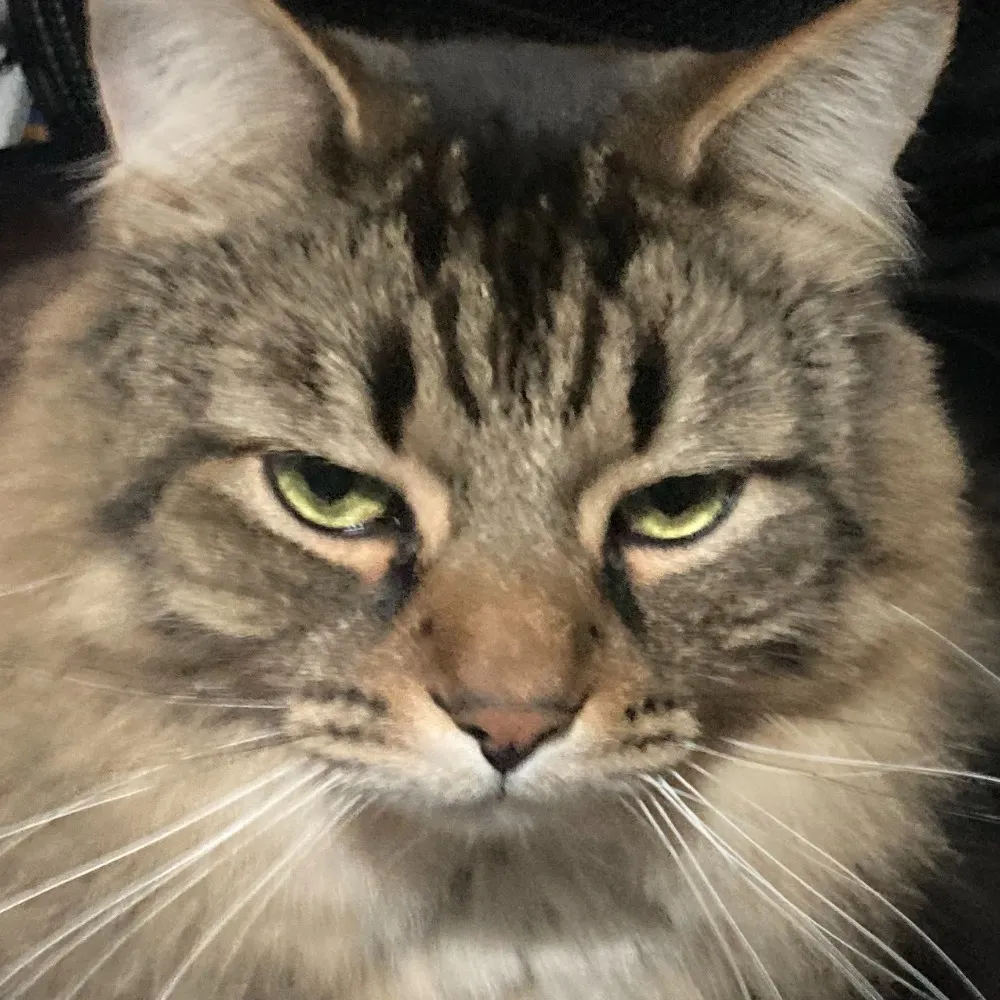 claireity9.bsky.social's profile picture