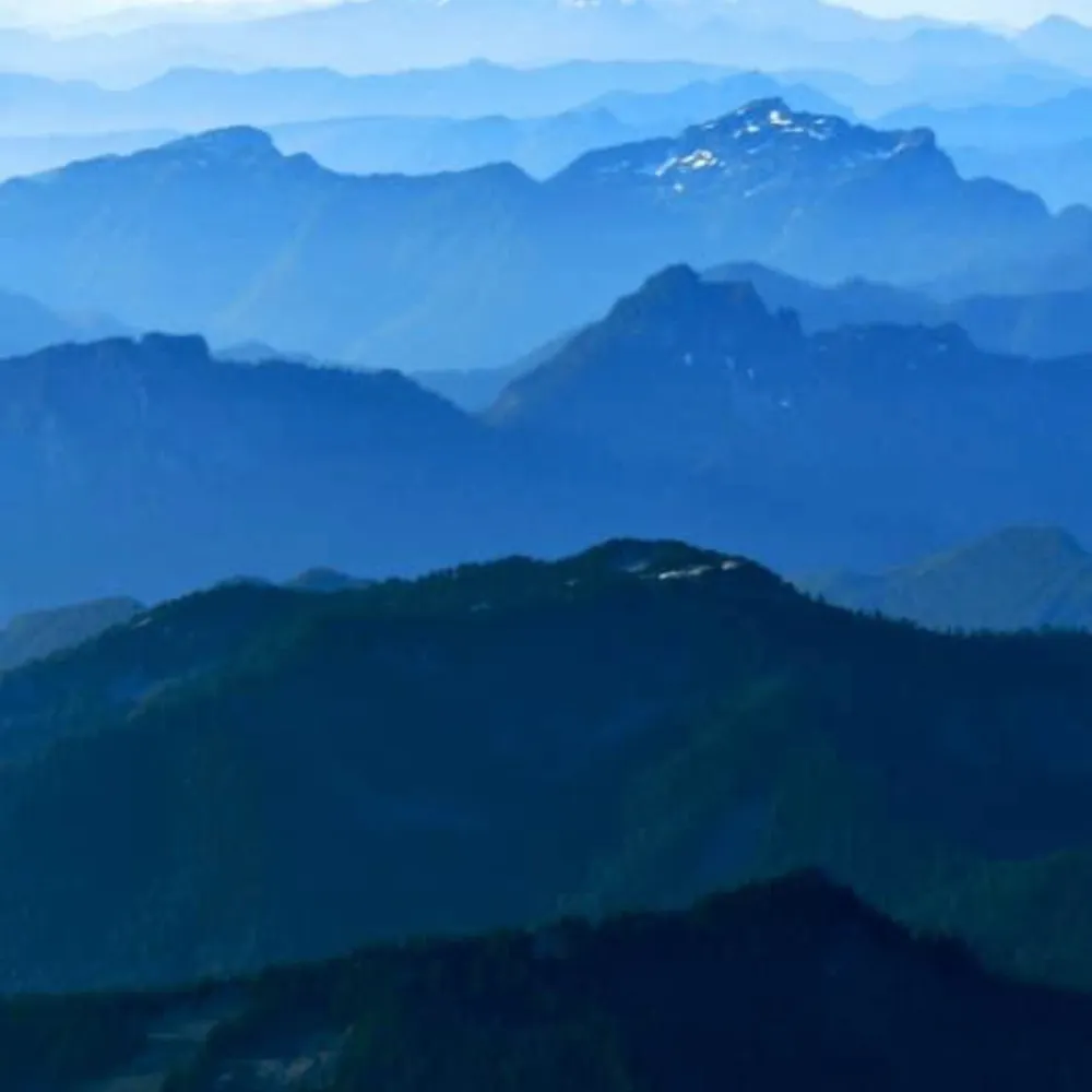 liberalhoundmom.bsky.social's profile picture