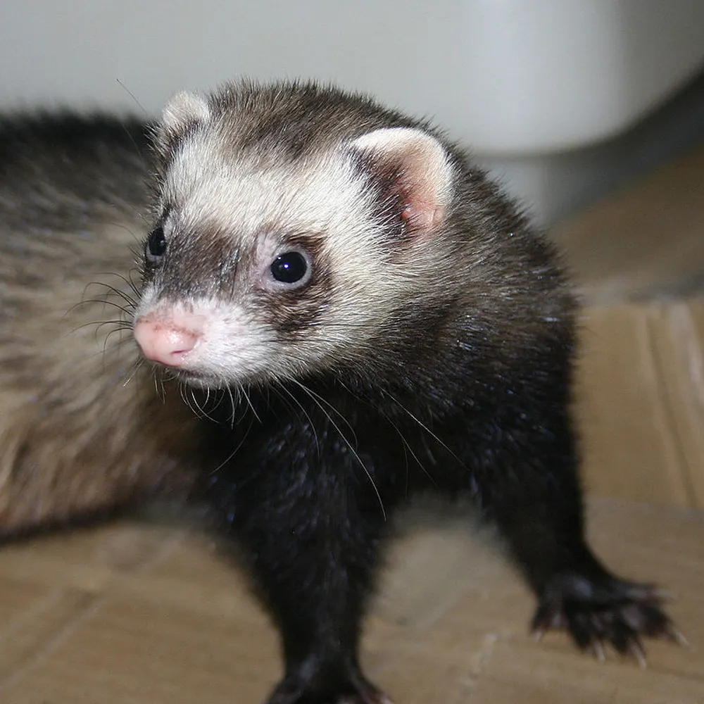 lynnzegreyt.bsky.social's profile picture