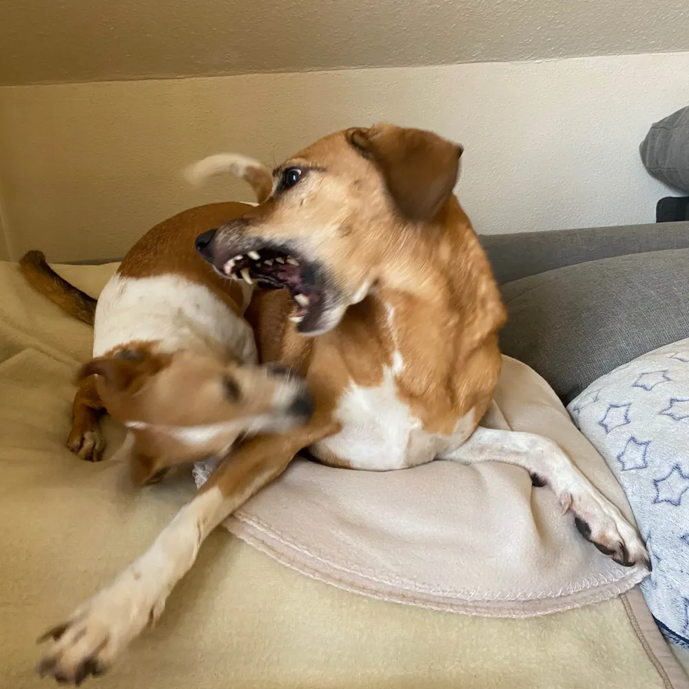 lucy72.bsky.social's profile picture