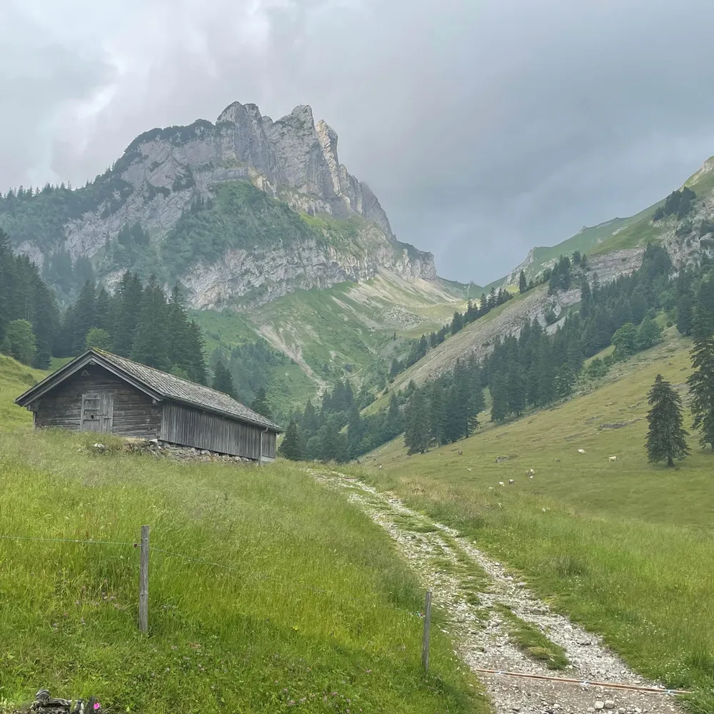 debbiejsr.bsky.social's profile picture