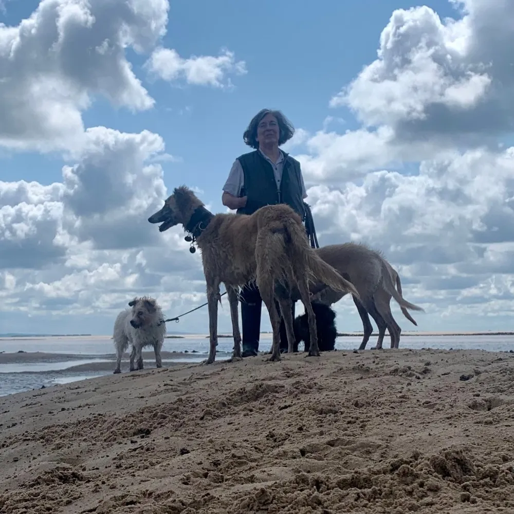 revdalicegoodman.bsky.social's profile picture