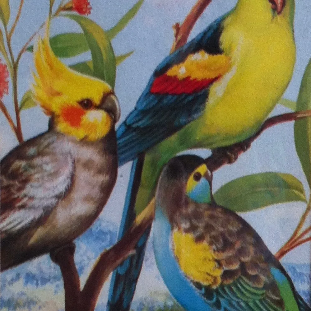 aitch-el.bsky.social's profile picture