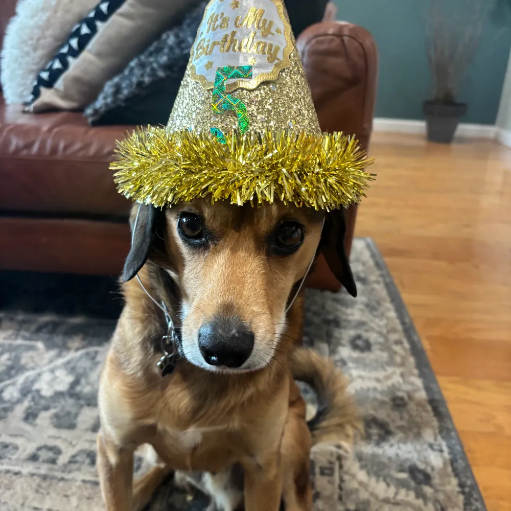 rjw24.bsky.social's profile picture