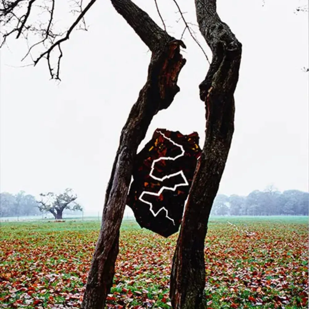 whetstone.bsky.social's profile picture