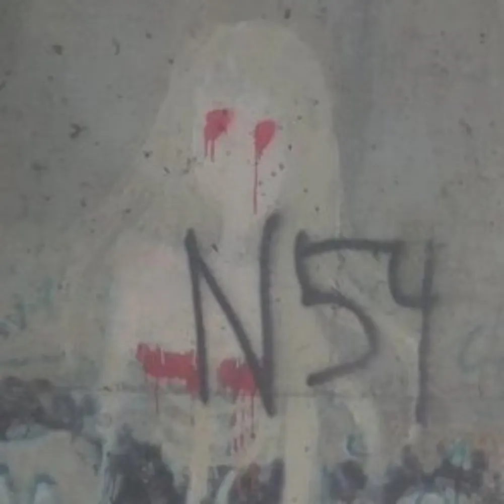 skatewitch.bsky.social's profile picture