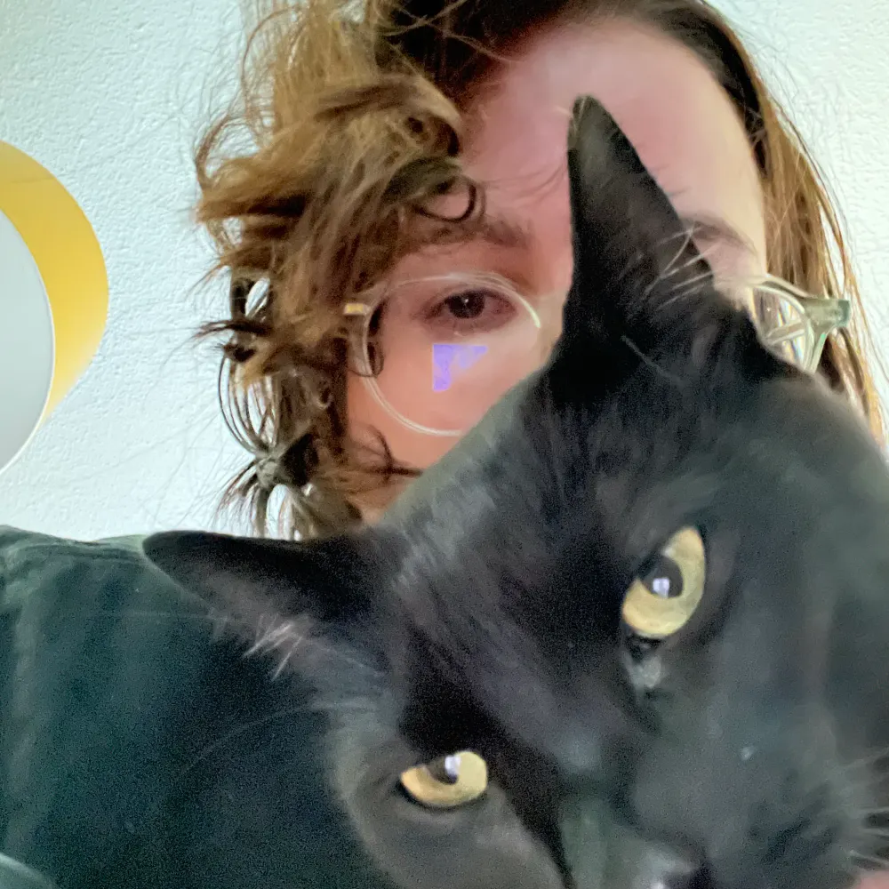 mb973.bsky.social's profile picture