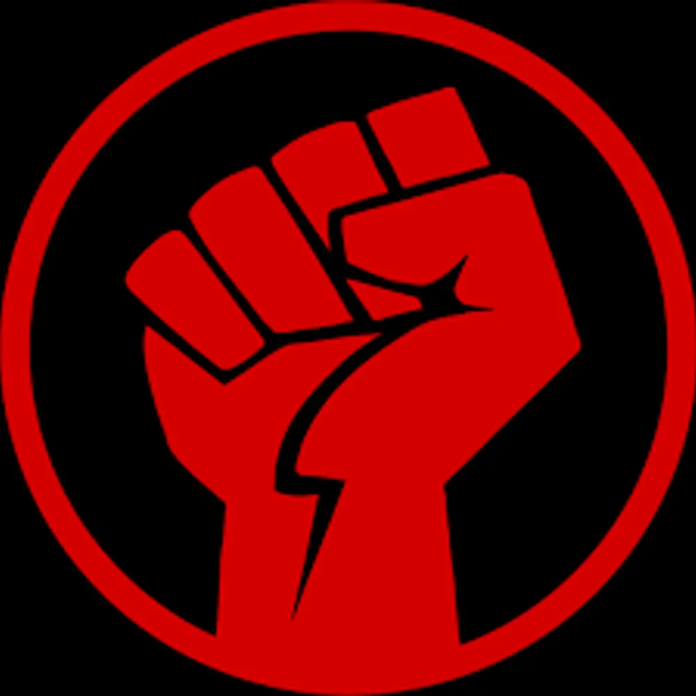 thepoliticalpunk.bsky.social's profile picture