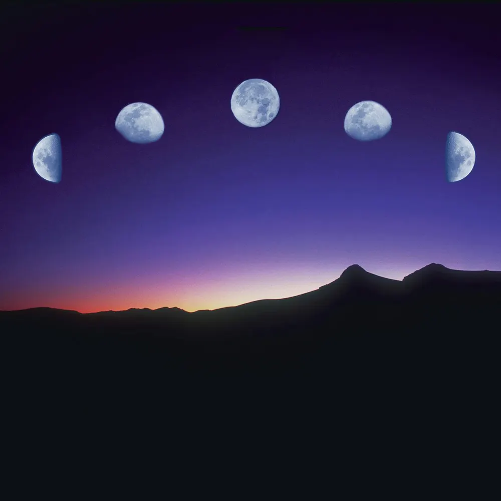 lucyksy.bsky.social's profile picture