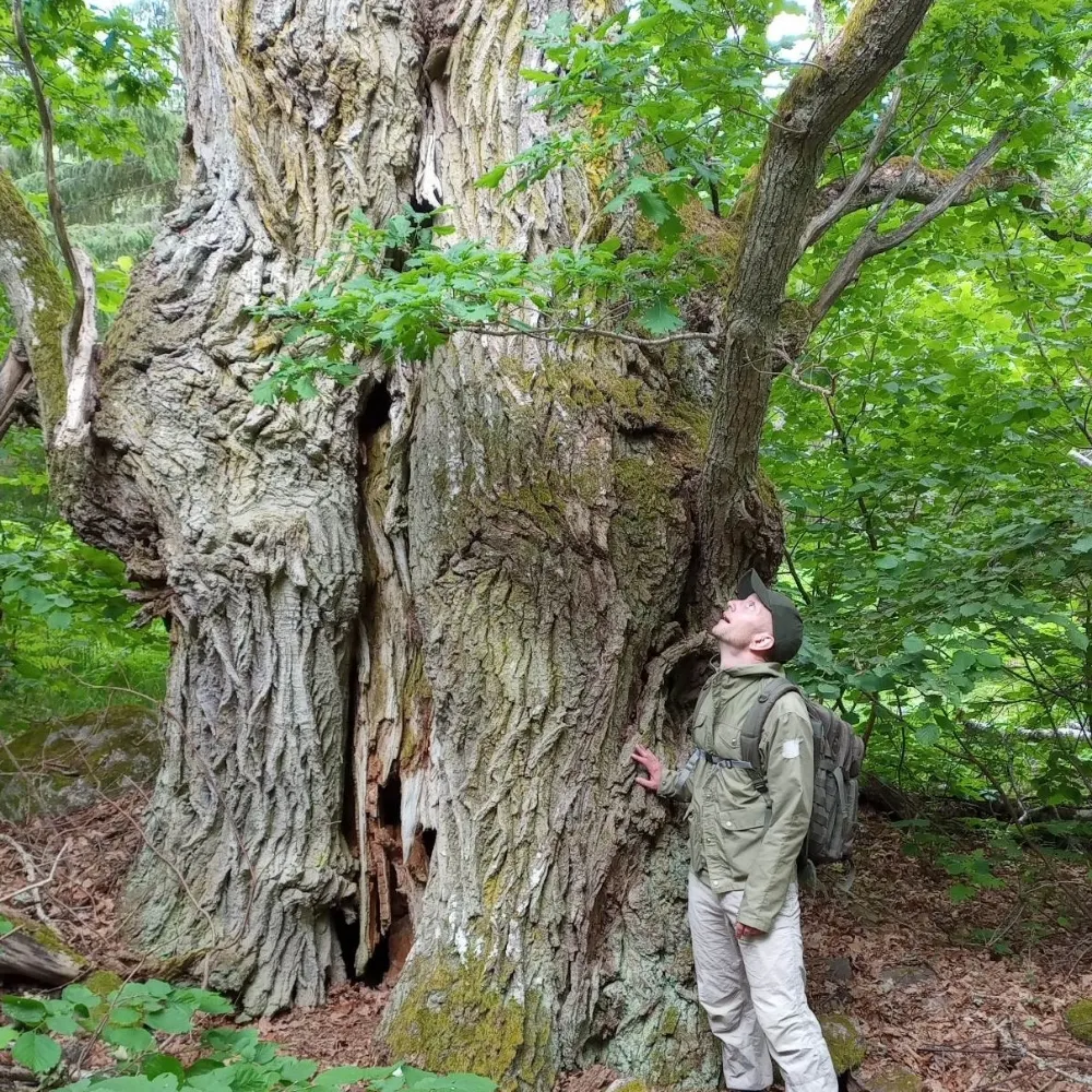 mikaelruukel.bsky.social's profile picture