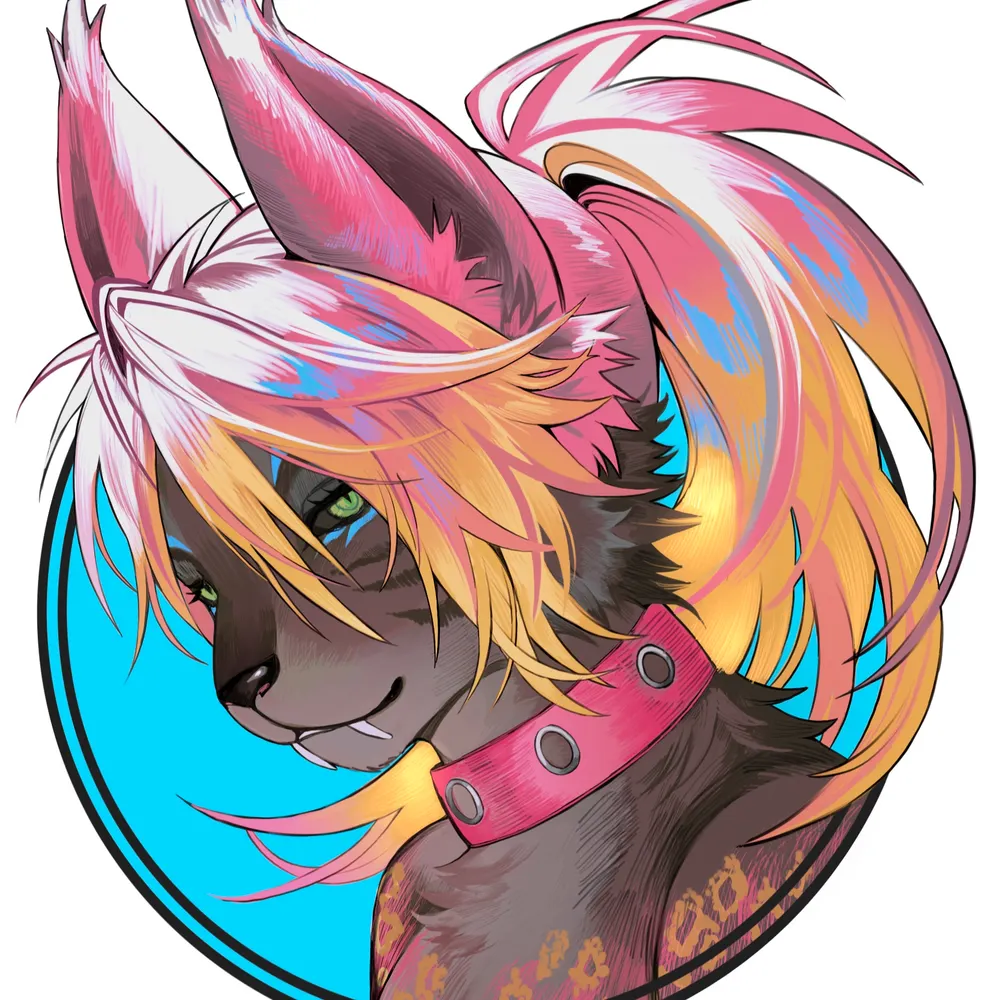 vandelize.bsky.social's profile picture