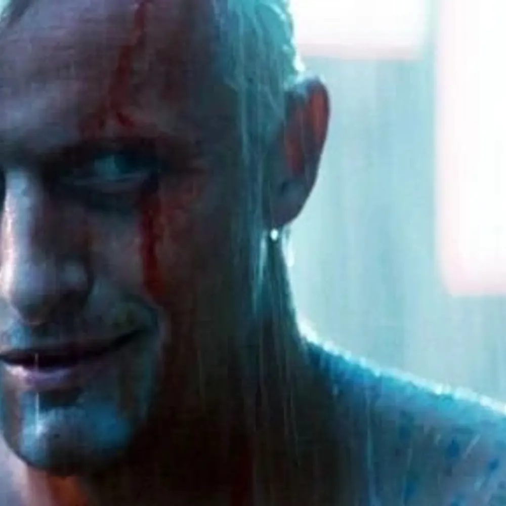 shoulderoforion.bsky.social's profile picture