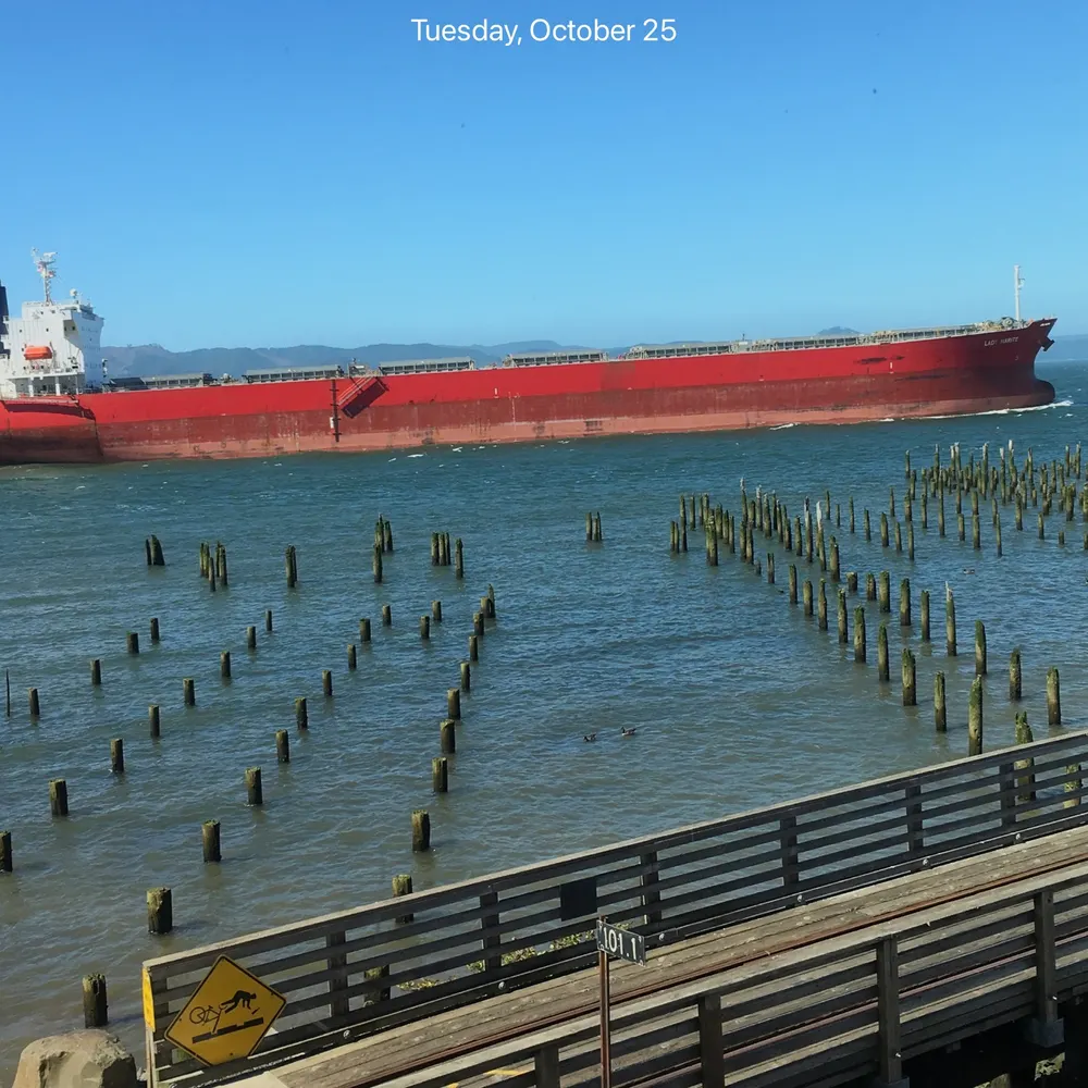 annieopopoagie.bsky.social's profile picture