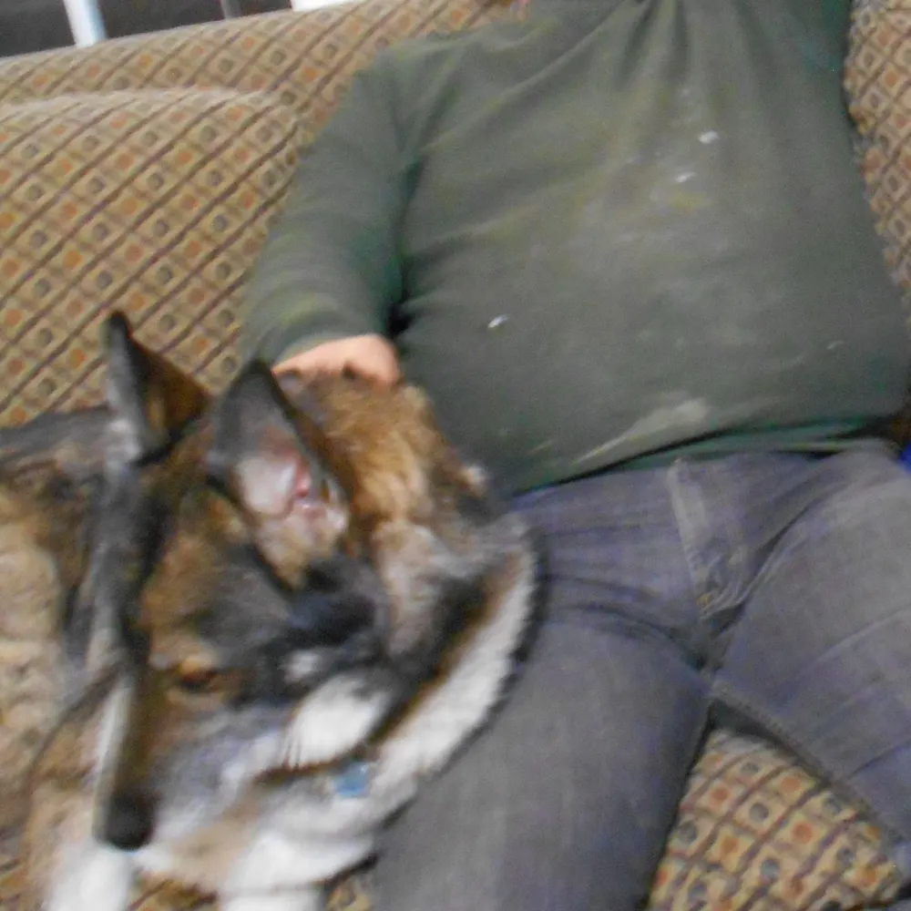 putoutopasure.bsky.social's profile picture