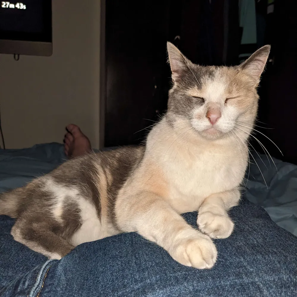 sevejohn.bsky.social's profile picture