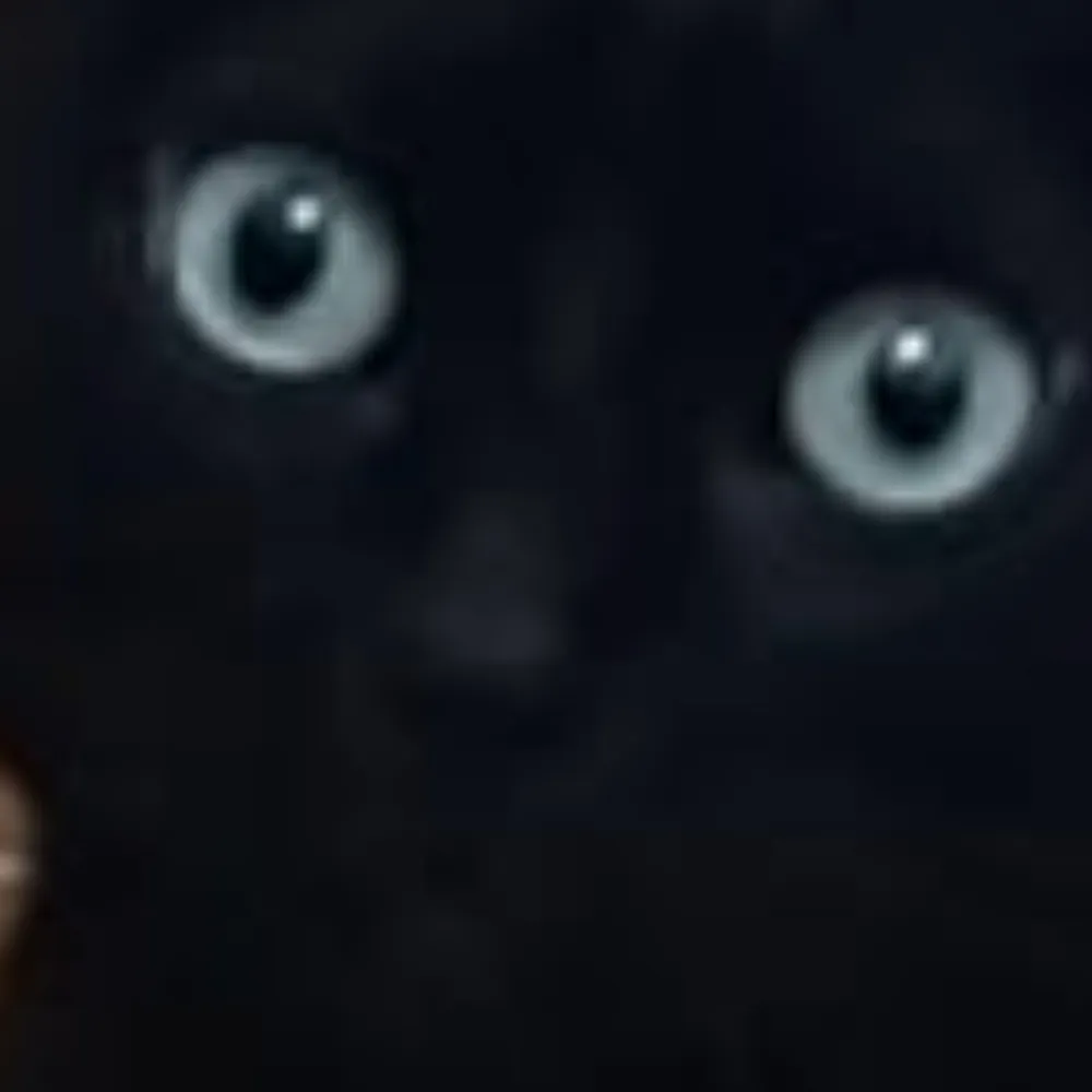 alhill.dev's profile picture