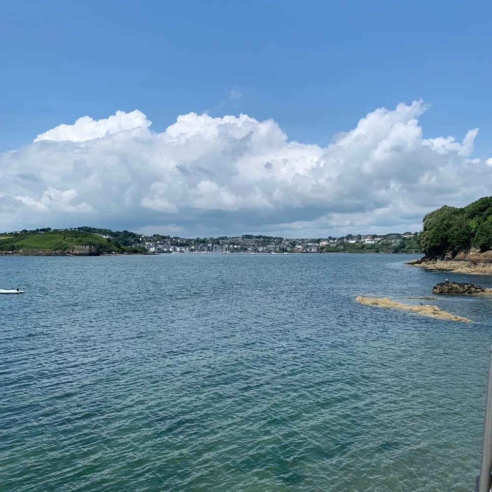 yoongles31.bsky.social's profile picture