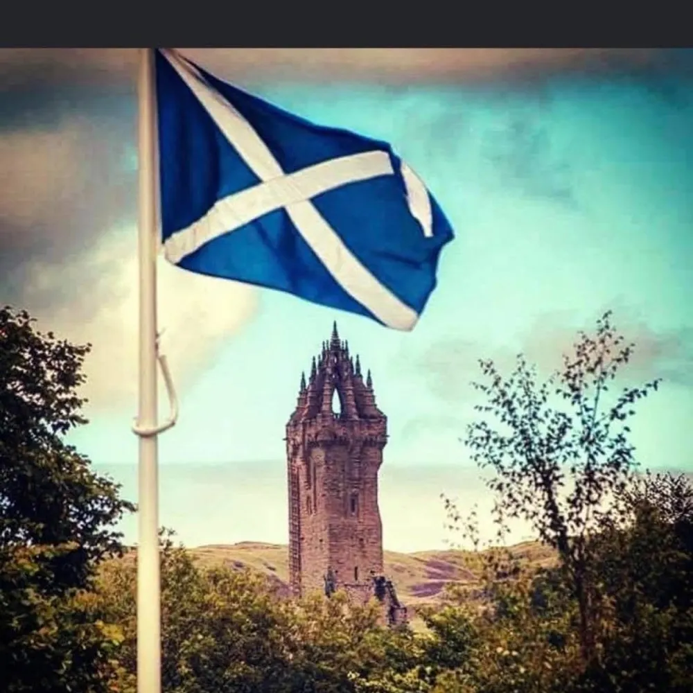 jccj2481.bsky.social's profile picture