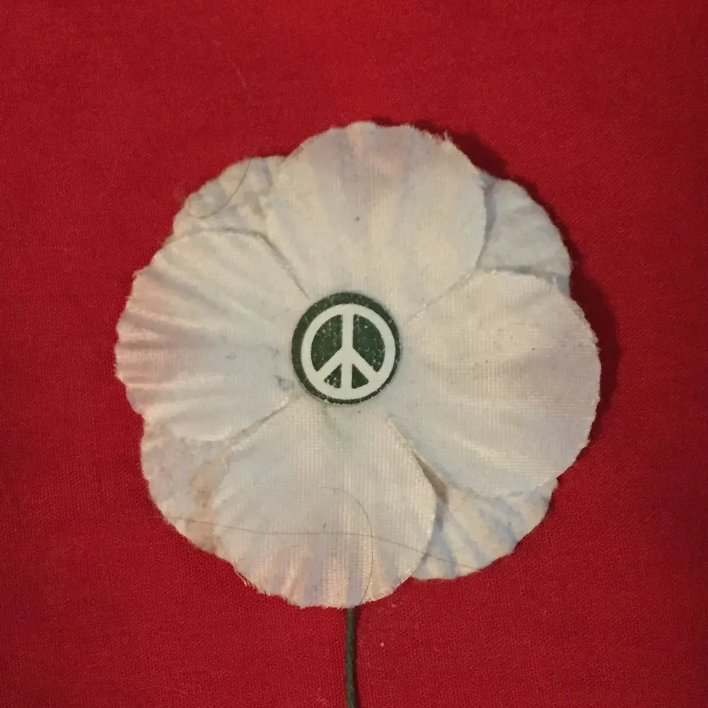 equitableeducation.ca's profile picture