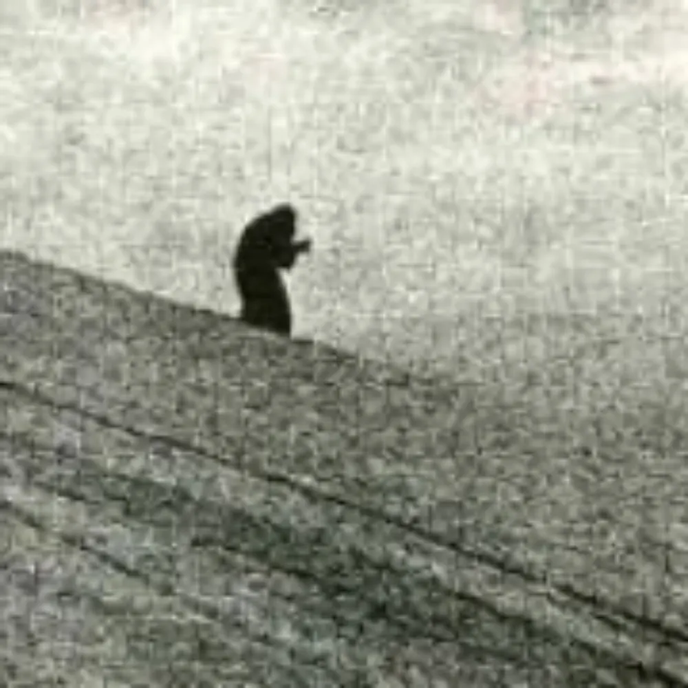 kelsig.bsky.social's profile picture