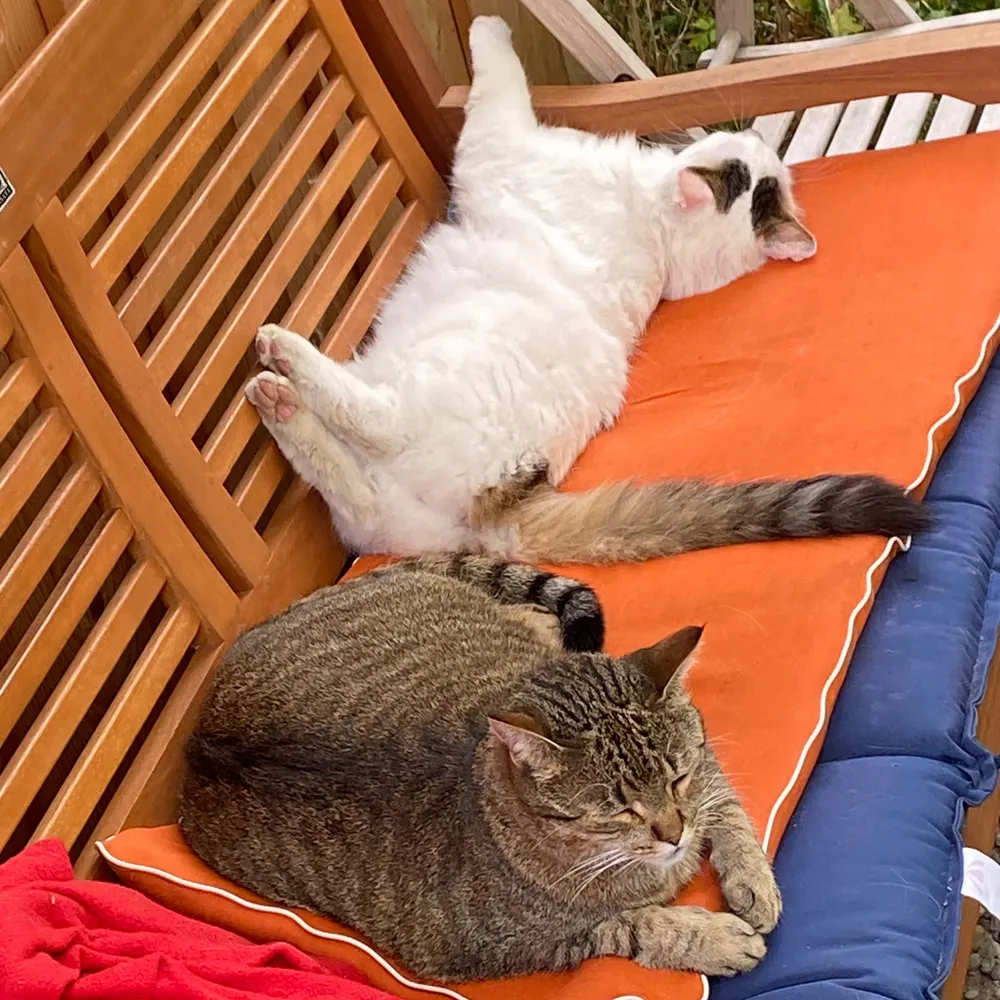 klymer.bsky.social's profile picture