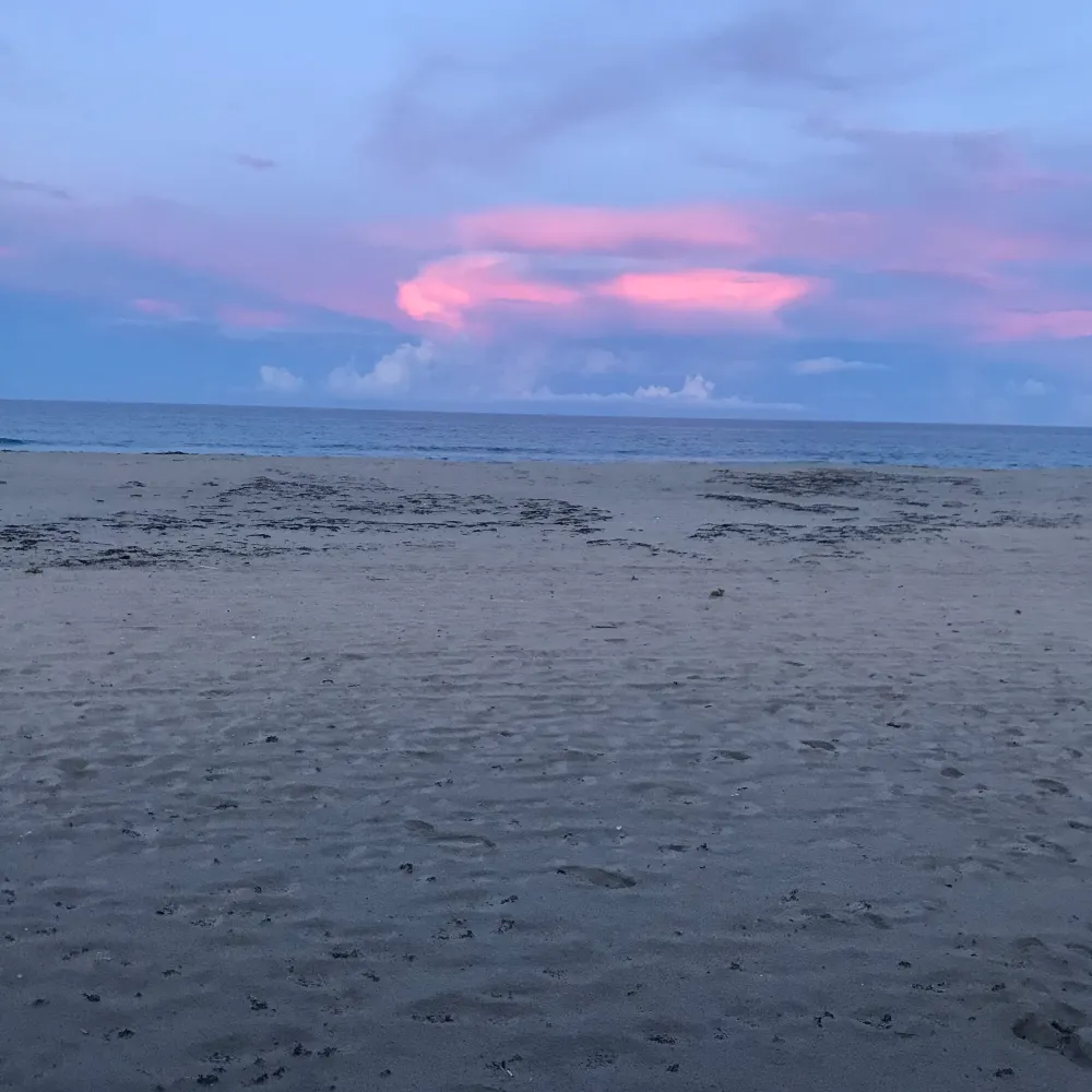 cleopatraqueen.bsky.social's profile picture