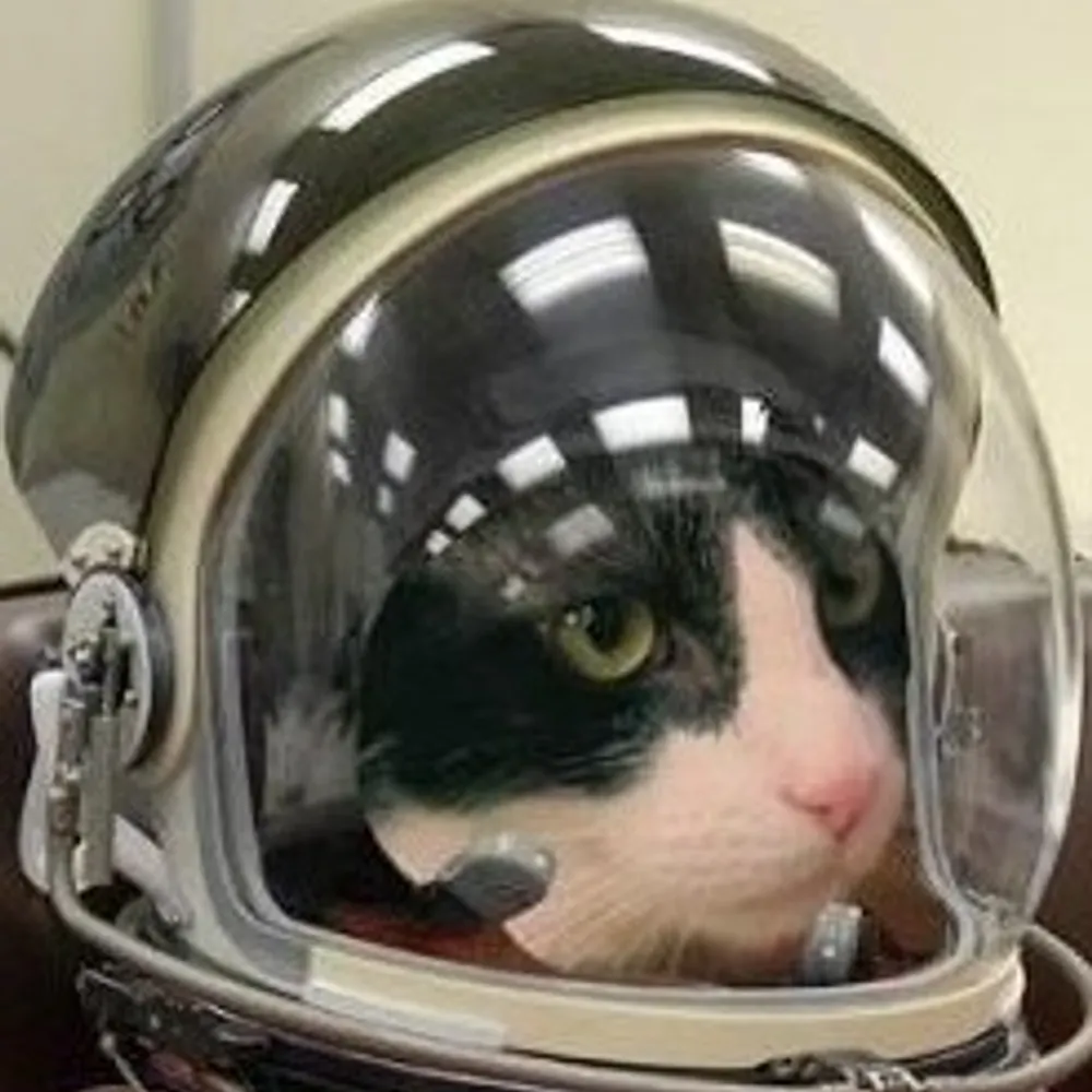 steryn.bsky.social's profile picture