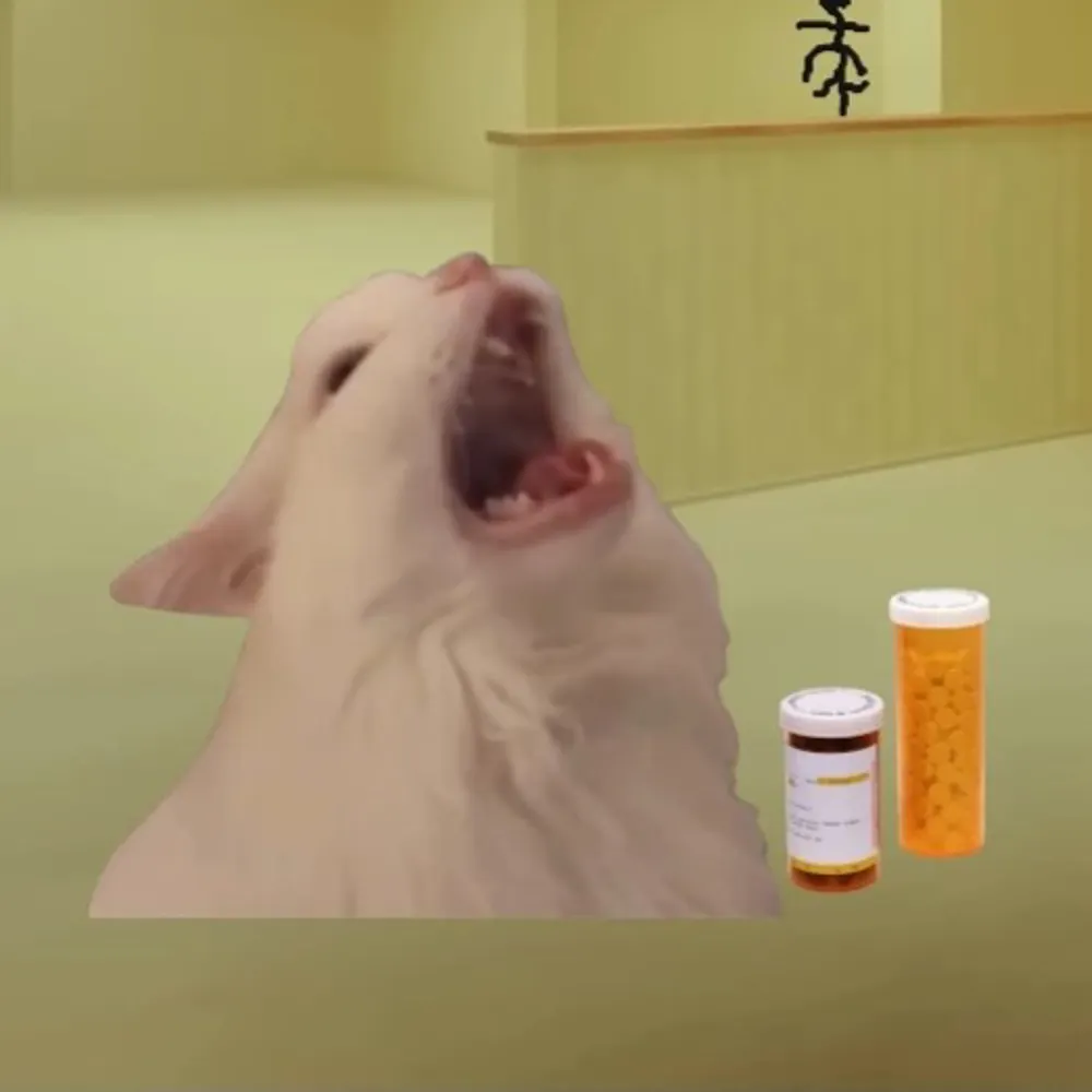 steryn.bsky.social's profile picture