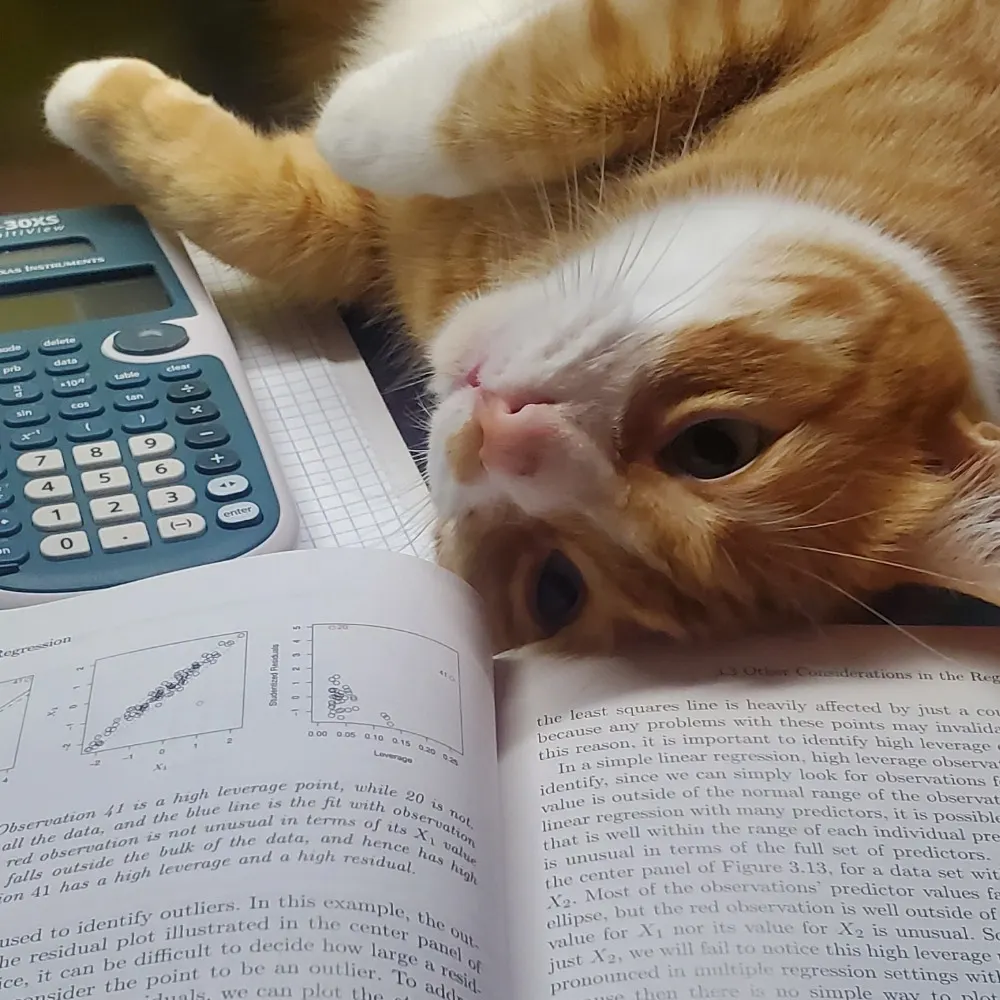 yonszenshpensz.bsky.social's profile picture