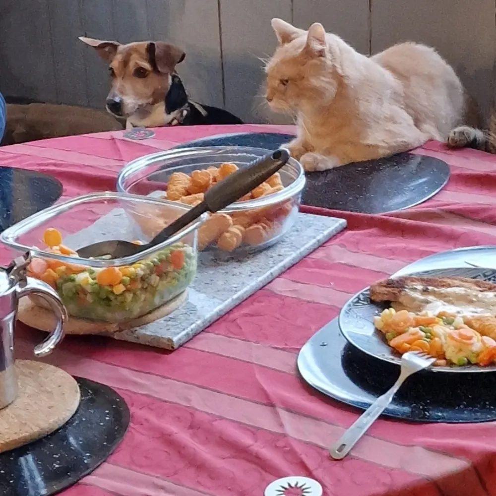 schnuddig.bsky.social's profile picture