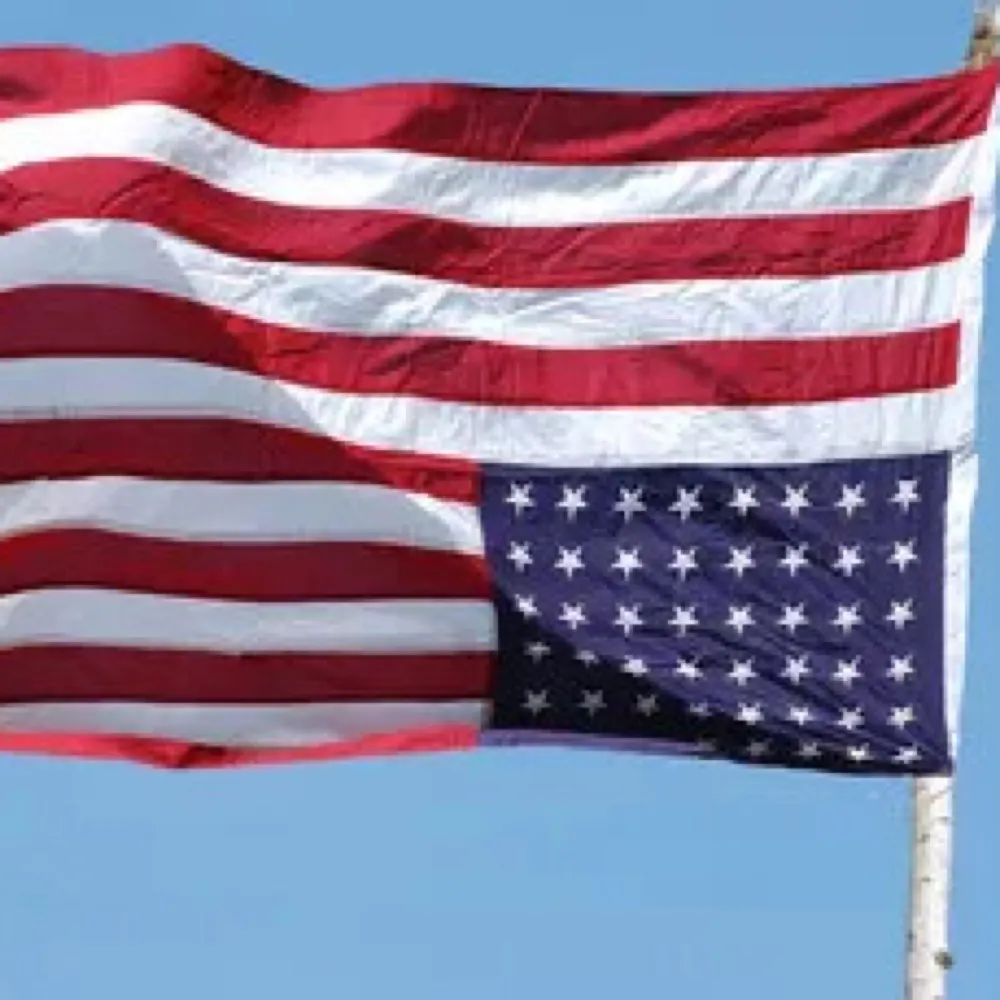 embeessem.bsky.social's profile picture