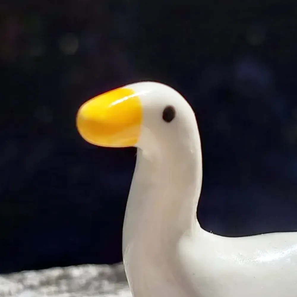 tameflowers.bsky.social's profile picture