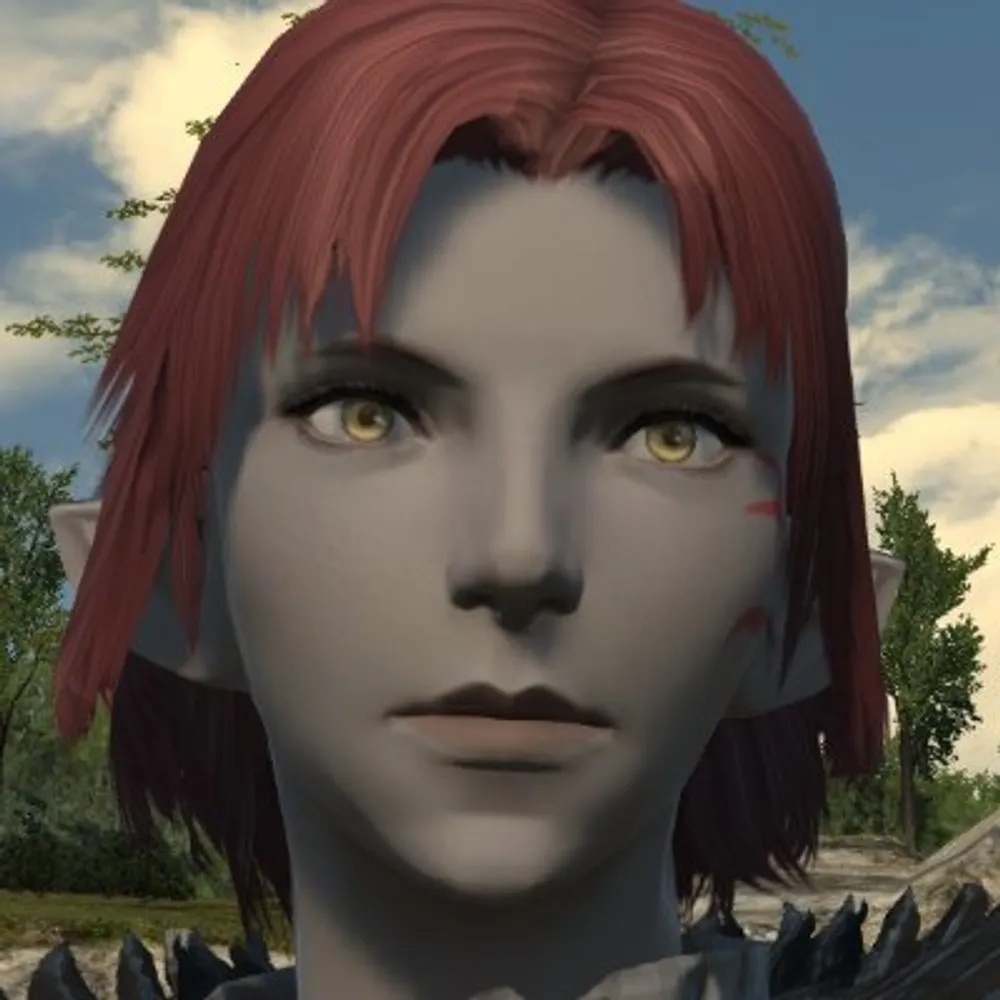 docette.bsky.social's profile picture