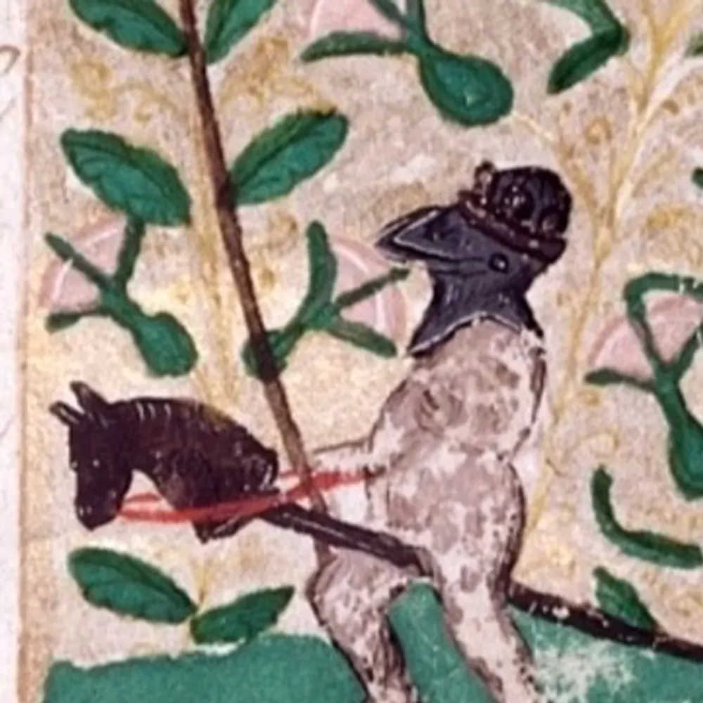 plurbles.bsky.social's profile picture