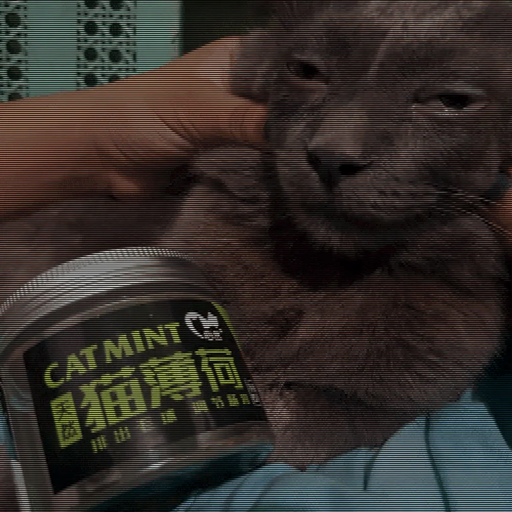 lisya.cute.foxgirl.kitsuneshrine.moe's profile picture