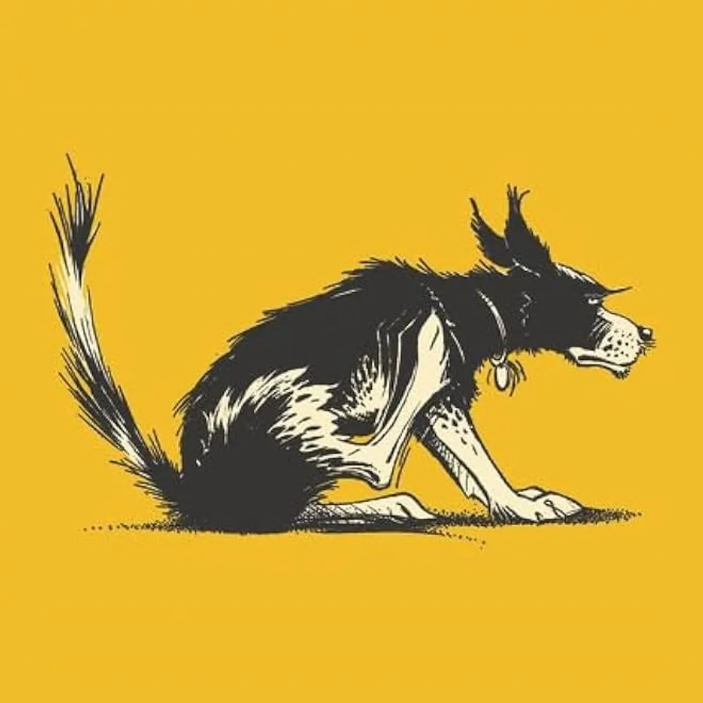 regjoe.bsky.social's profile picture