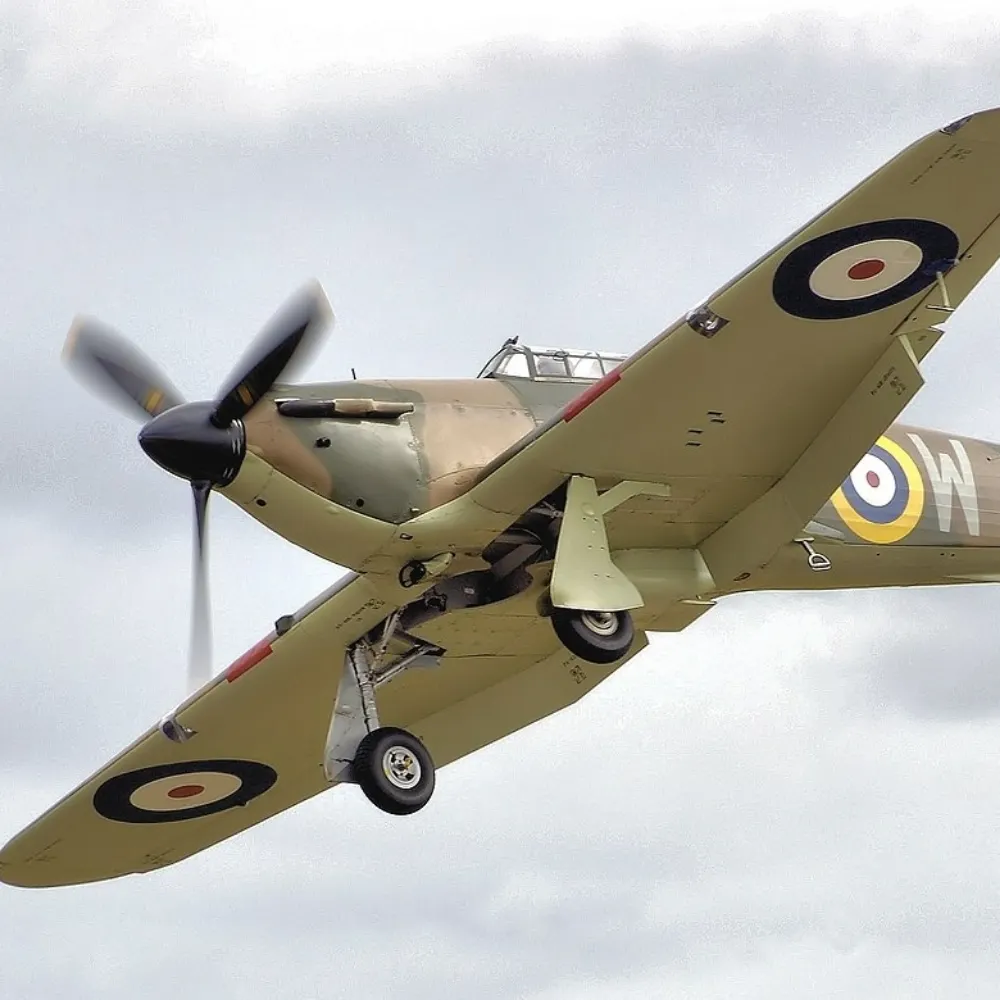 befuddledbookster.bsky.social's profile picture