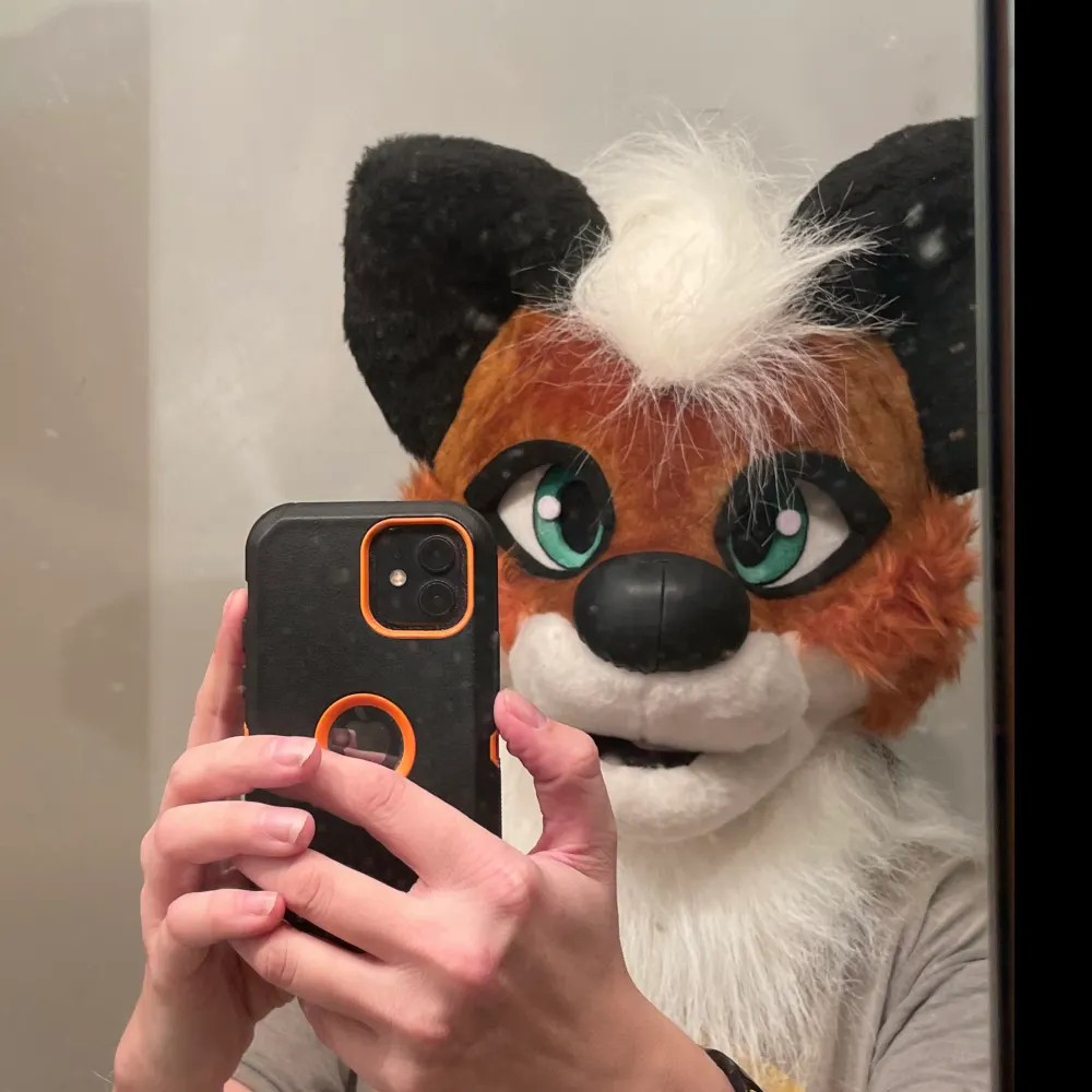 thunder-fox1.bsky.social's profile picture