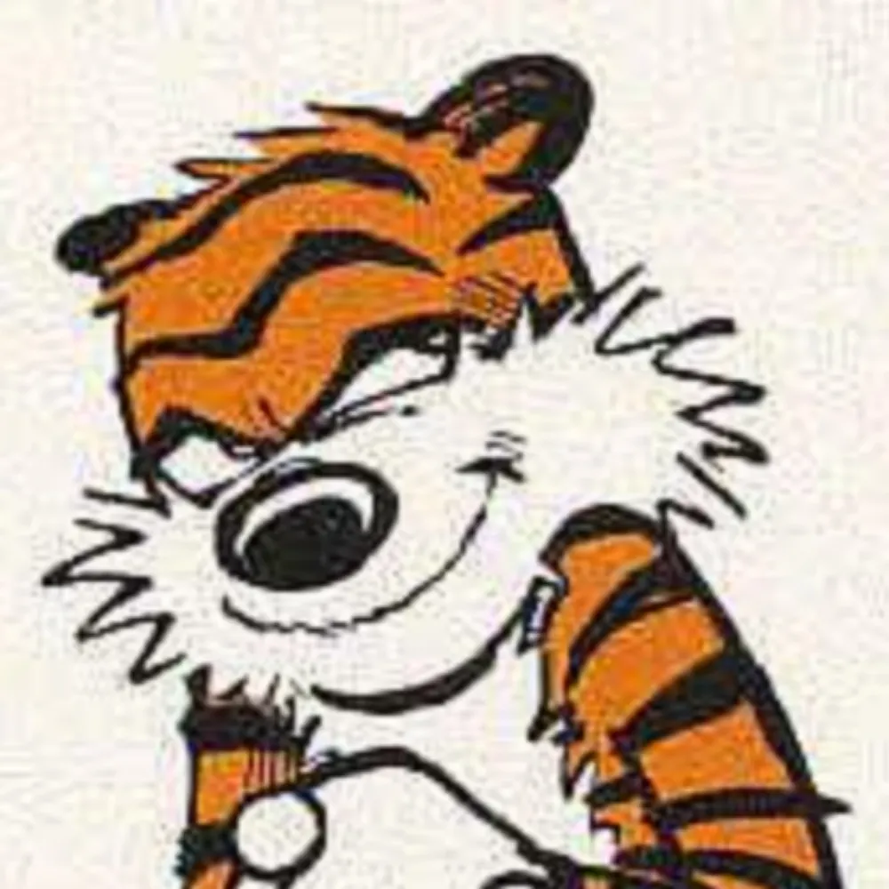 papajoenh.bsky.social's profile picture