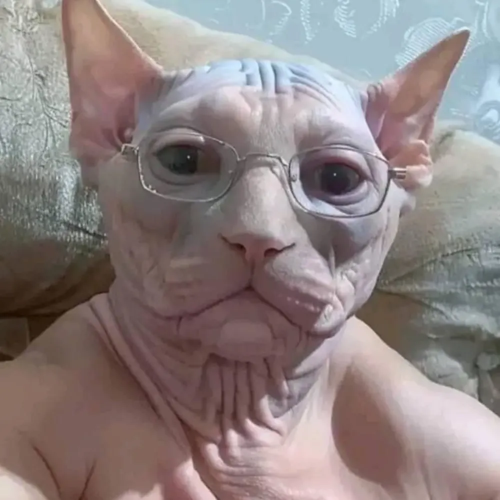 ptaters.bsky.social's profile picture