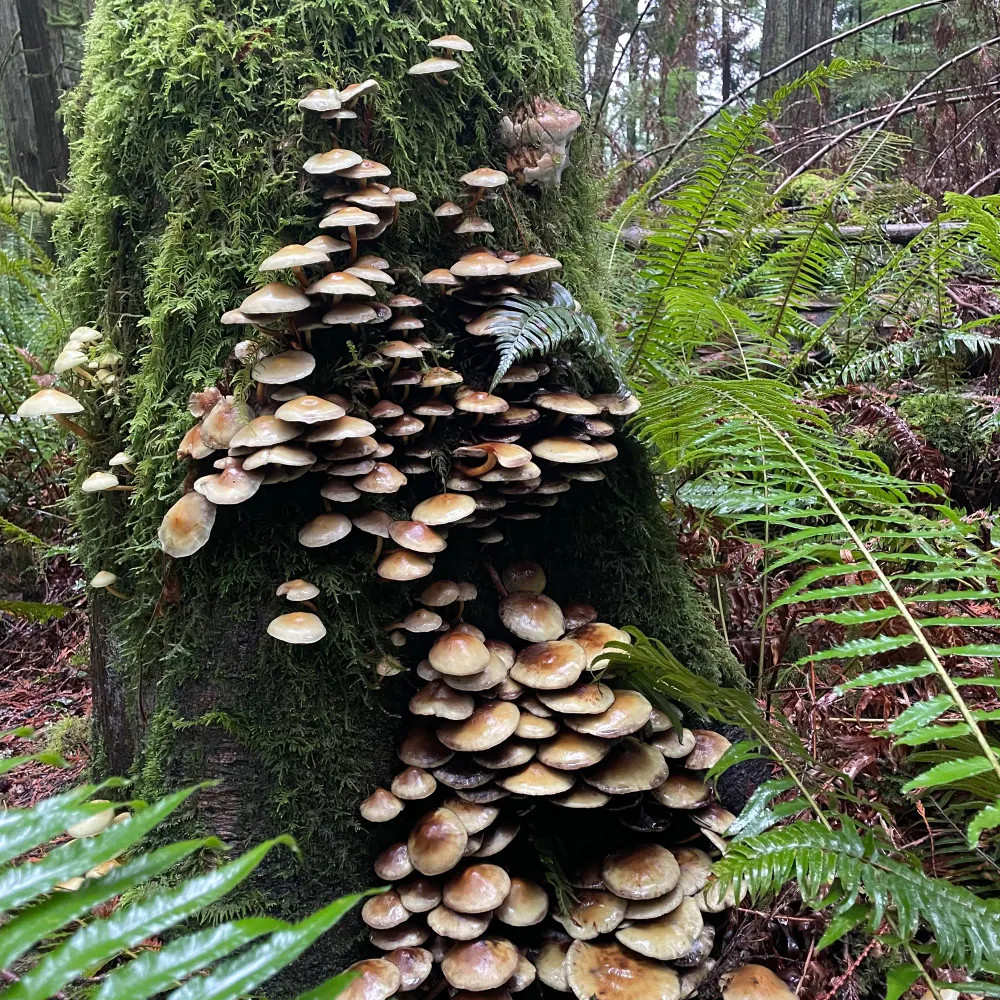 realitybased1.bsky.social's profile picture