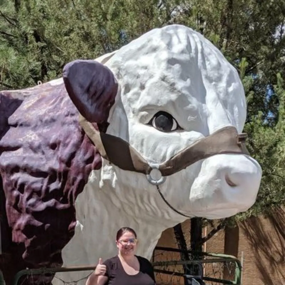 nora.zone's profile picture