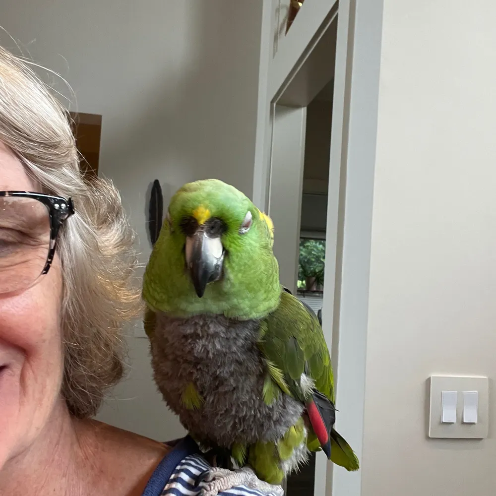 jbatnc.bsky.social's profile picture