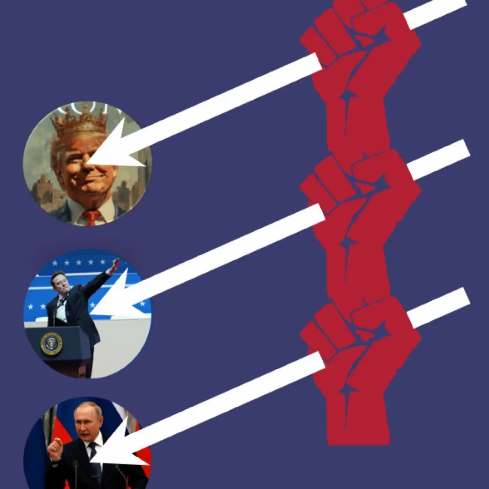 acreed.bsky.social's profile picture