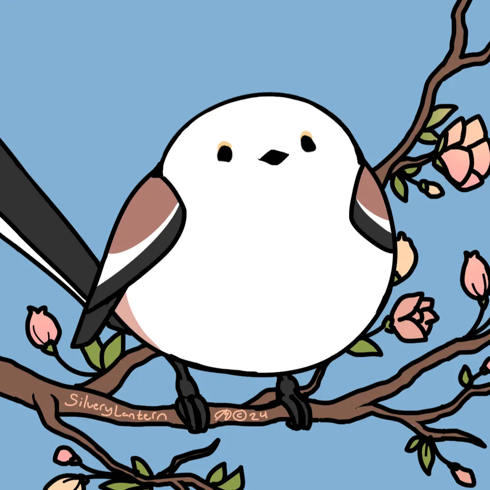 silverylantern.bsky.social's profile picture