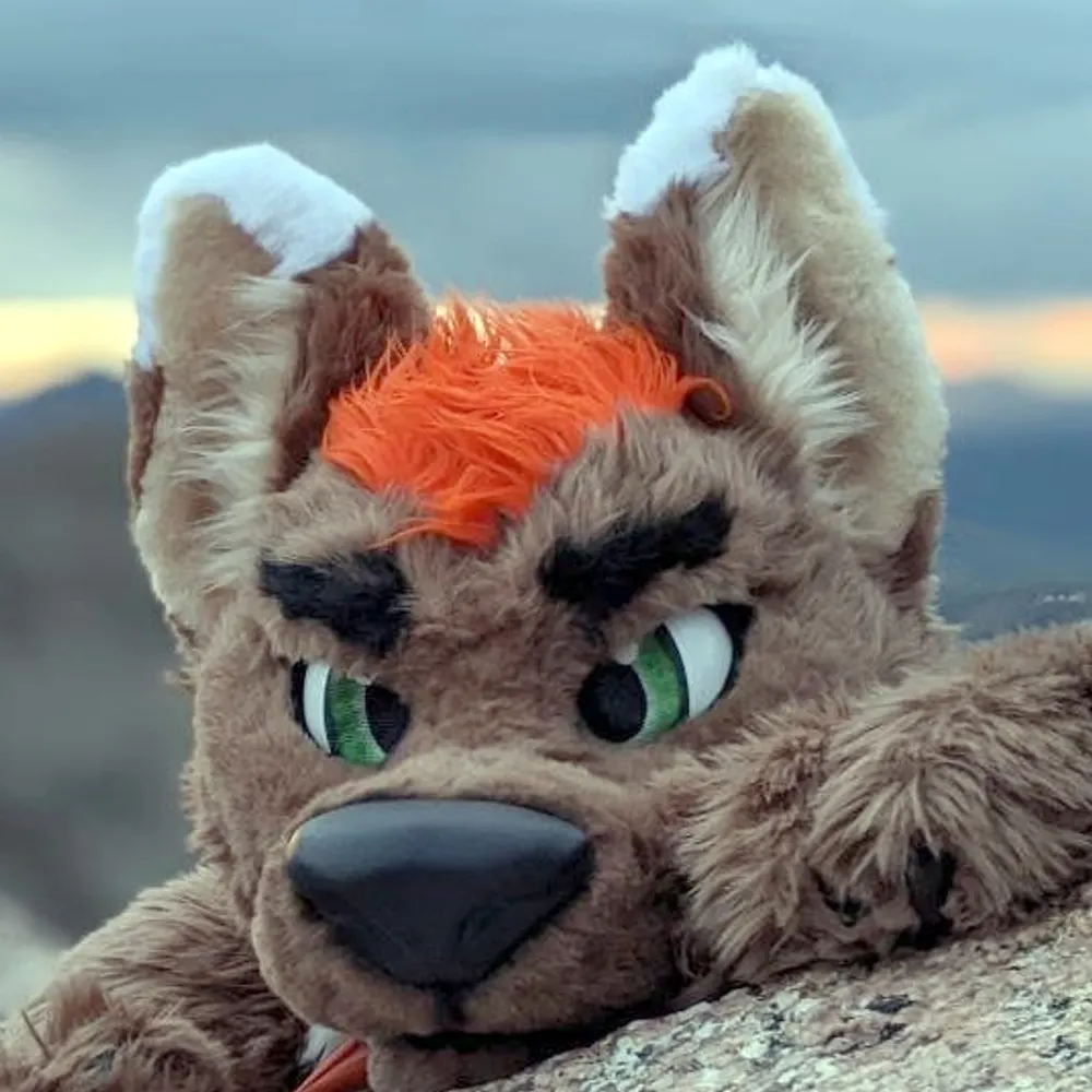 arrowt.bsky.social's profile picture