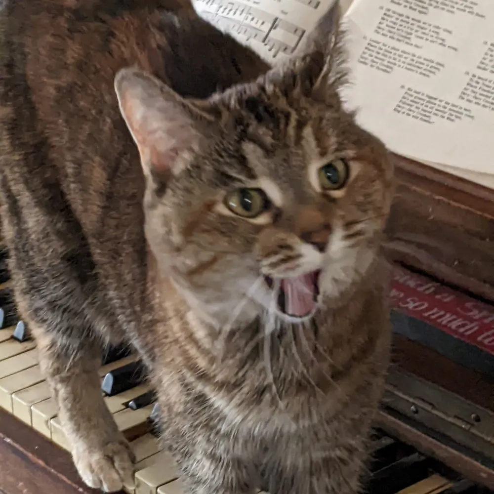 sarcasmoultrablam.bsky.social's profile picture